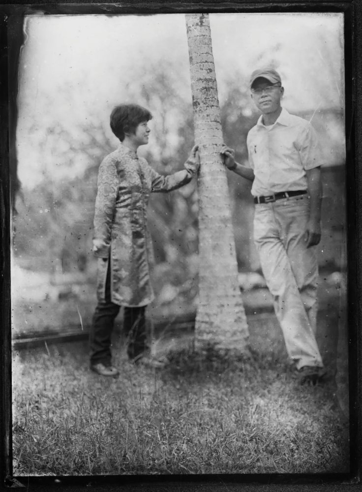 Wet plate Collodion